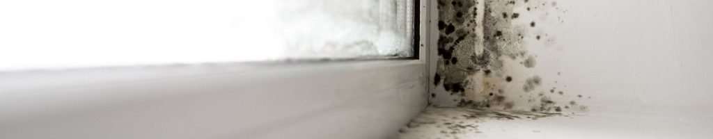 EnvironmentalWorks-134493-Common-Indoor-Air-image1v2